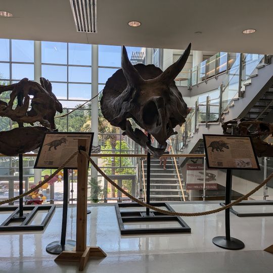 Mace Brown Museum of Natural History