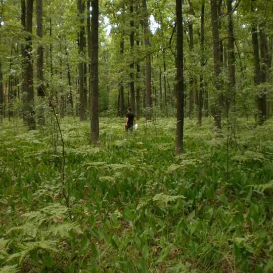 Atamanovyi Hai Reserve