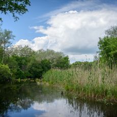 Floodplayn Psel River