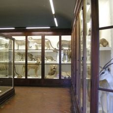 Università di Firenze Museo Zoologico "La Specola"