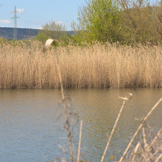Landschaftsschutzgebiet "Altarme der Saar"