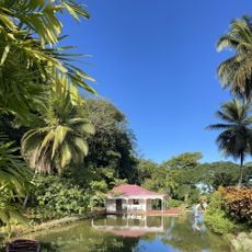 Patogeoire de Valombreuse