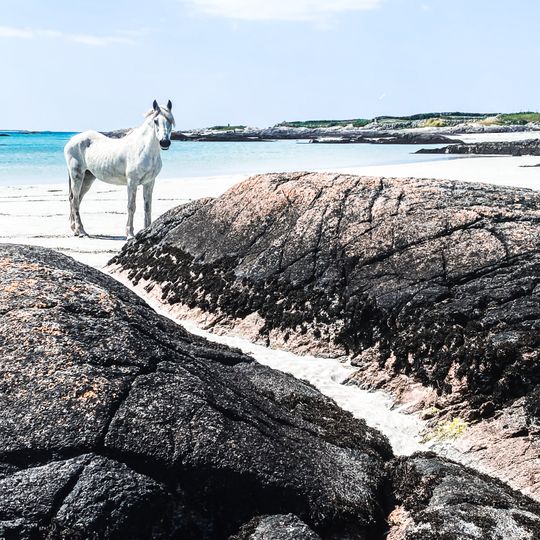 Tra Chaladh Finis, Carna