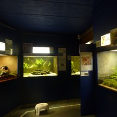 Aquarium de Bruxelles