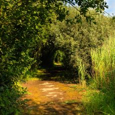 Salines de Fort-Mardyck