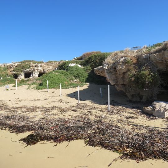 Penguin Island Kitchen & Store Cave