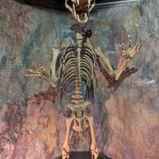 Cheddar Caves And Gorge - Museum of Prehistory