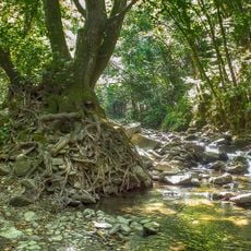 Riserva naturale Acquerino Cantagallo