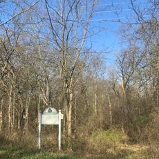 Nelson’s Woods