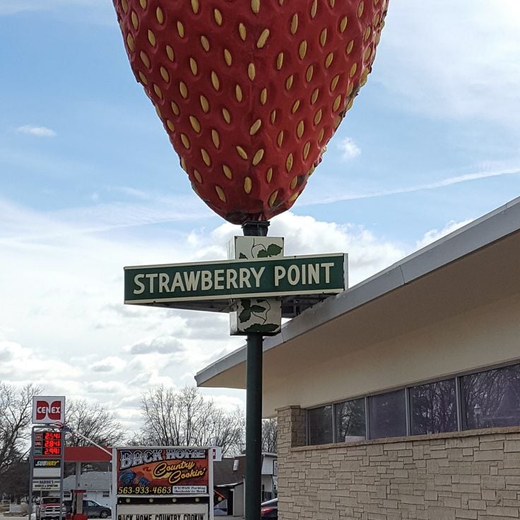 The World's Largest Strawberry