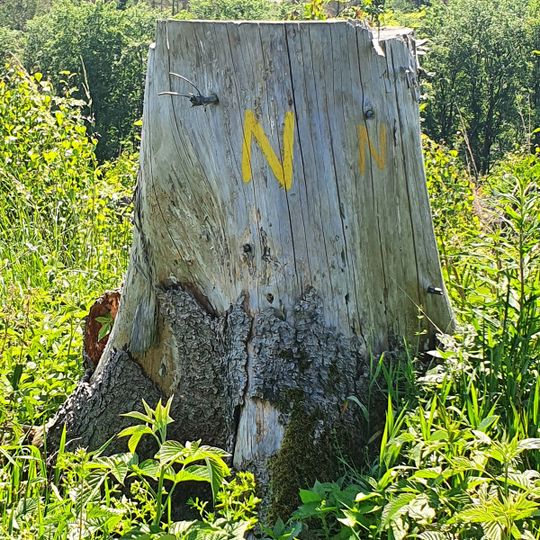 Harzer Naturistenstieg