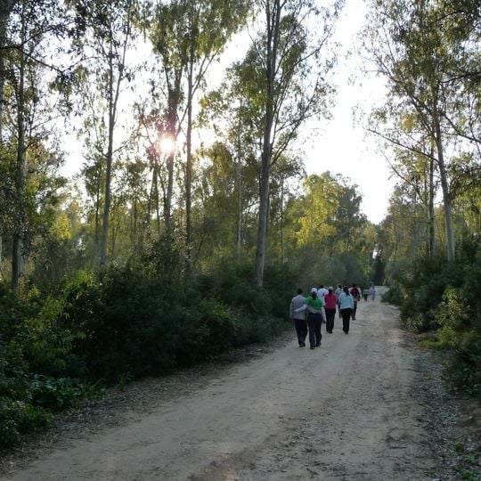 Parque forestal de Las Aguilillas