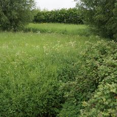 Réserve naturelle régionale du vallon de la Petite Becque