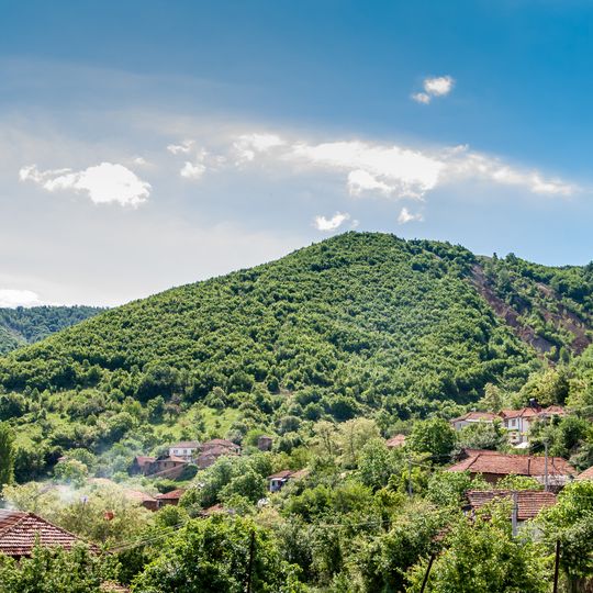 Prikovci