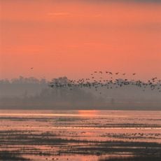 Lacassine National Wildlife Refuge