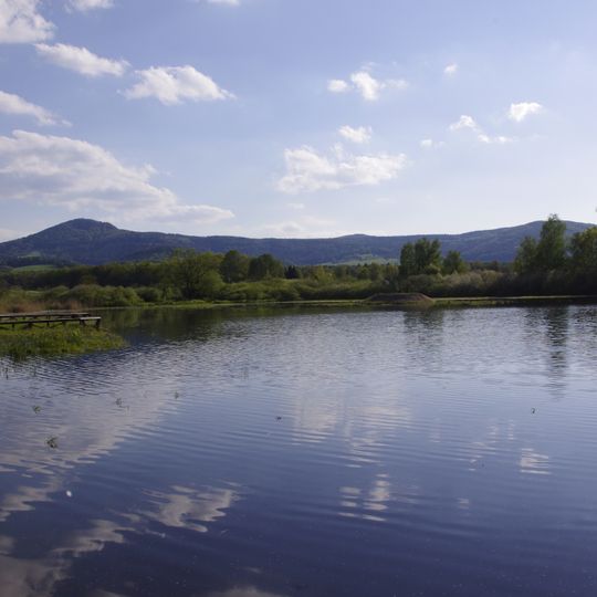 Goldfabianteich mit Wiese
