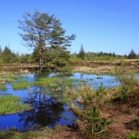 Bordelumer Heide und Langenhorner Heide mit Umgebung