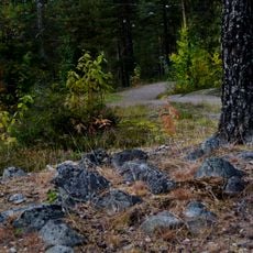 Skellefteå stad 25:1