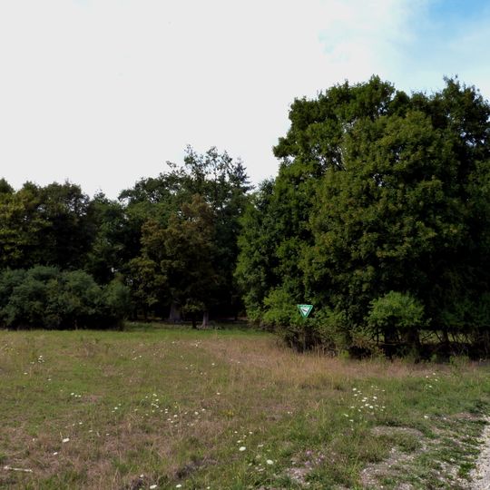 Heidefläche Zeilfeld