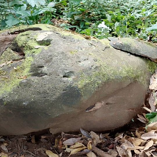 Yamashita Gold Treasure 35MT000002