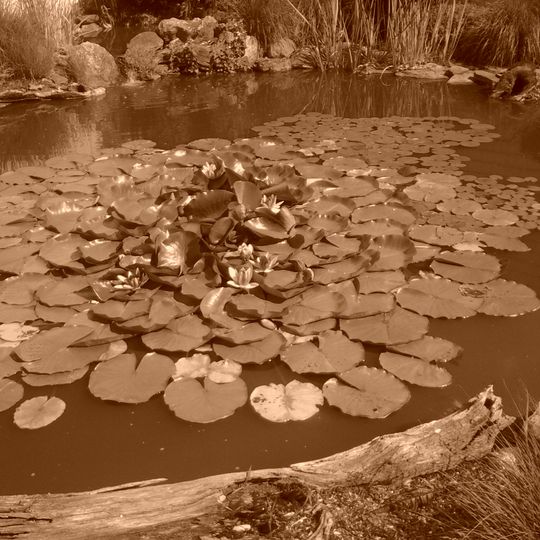Harold H. Malkmes Wildlife Education and Ecology Center