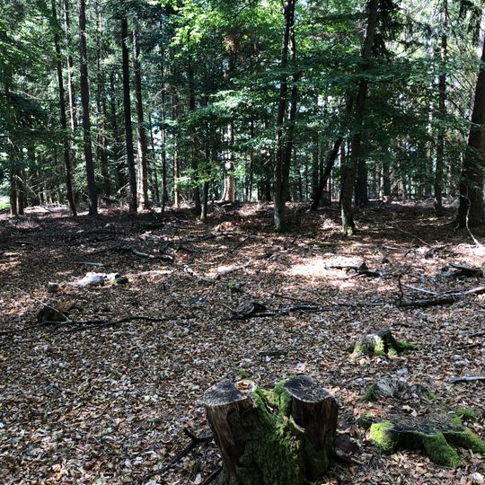 Hohweyersberg Castle