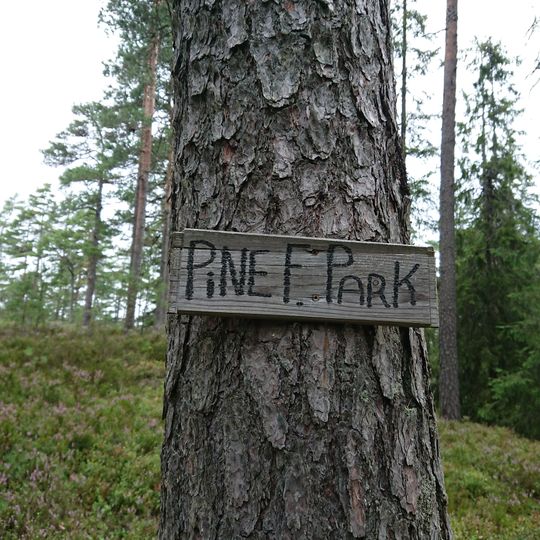 Pine F. Park