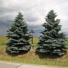 Kříž severně od Svojšic