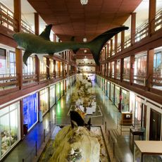 Museo de Ciencias Naturales El Carmen