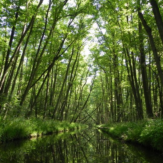 Nordufer Plätlinsee