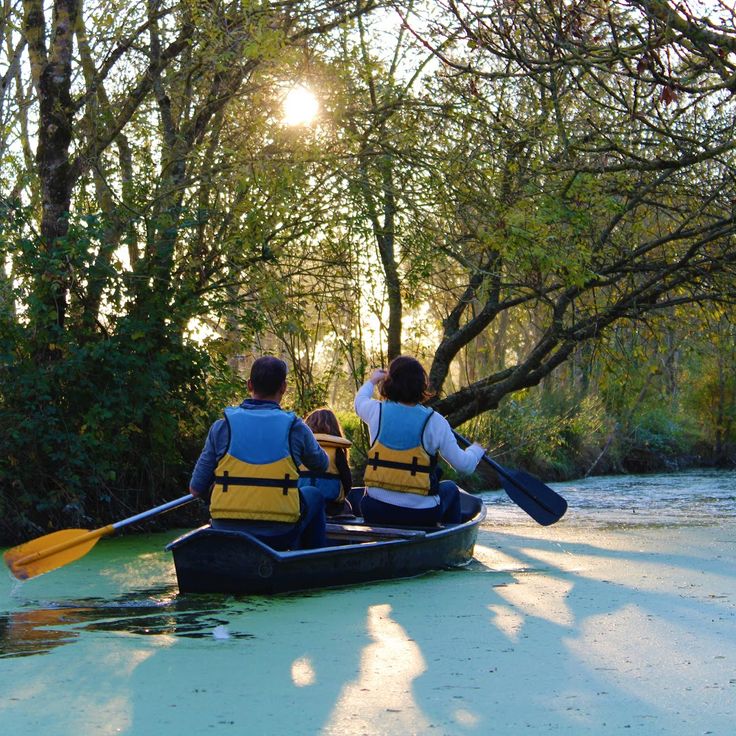 Base de découverte, maison du marais