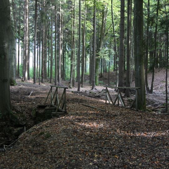 Mostek přes potok v Rukávečské oboře