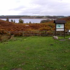 Pow Hill Bog