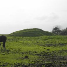 Stinswier van de Popmastins