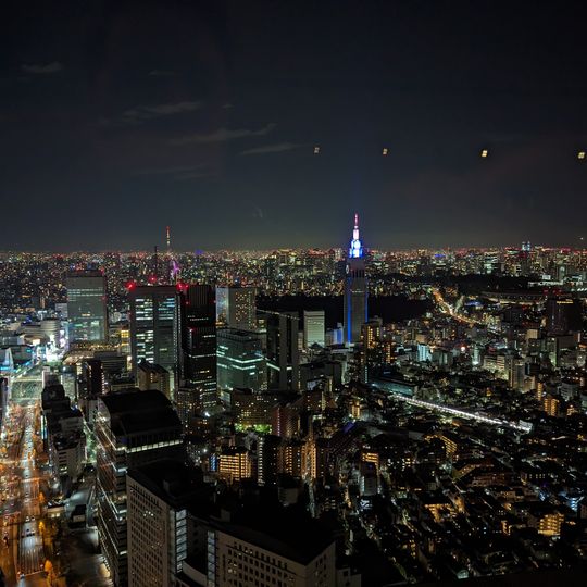 New York Grill