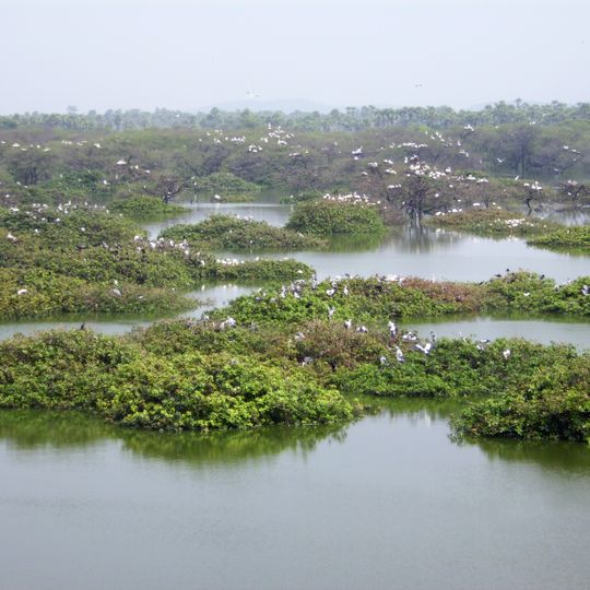 Vedanthangal Bird Sanctuary