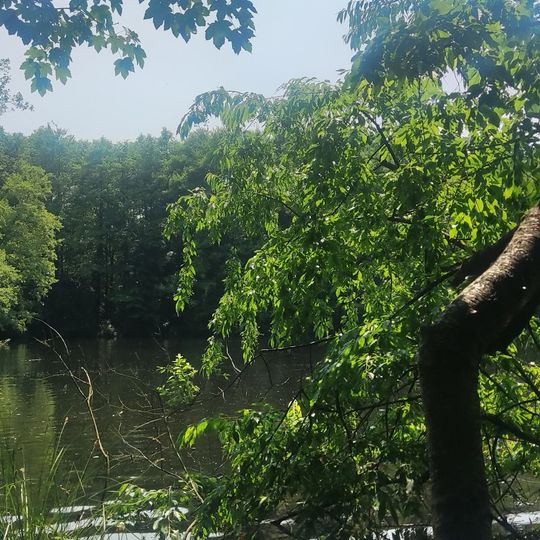 FKK-Strand Kleiner Opfinger Baggersee