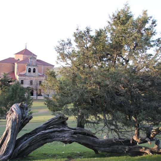 Sabinar de Moral de Hornuez