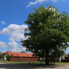 Naturdenkmal Eiche auf dem Dorfplatz, Flur 1, Flurstück 227/2 in Byhlen