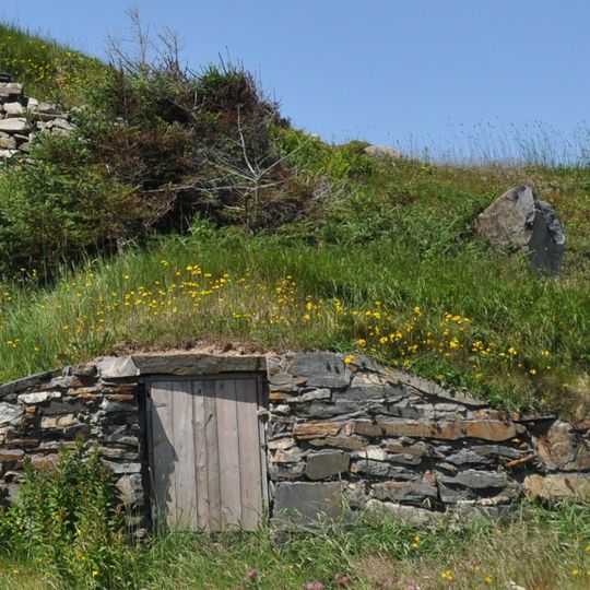 Dan Goodland Downstairs Root Cellar