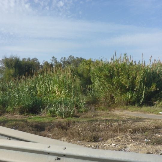 Puente sobre el arroyo de Madre Vieja