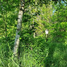 Birkenwäldchen am Müncherteich