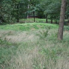 Terrein waarin twee grafheuvels