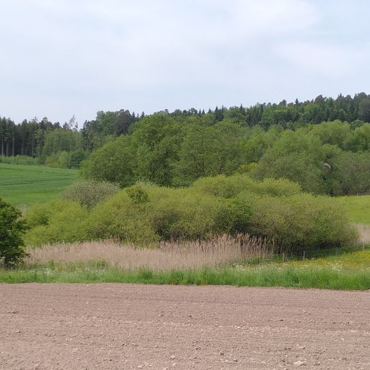Feuchtflächen beim Gschwender Badsee