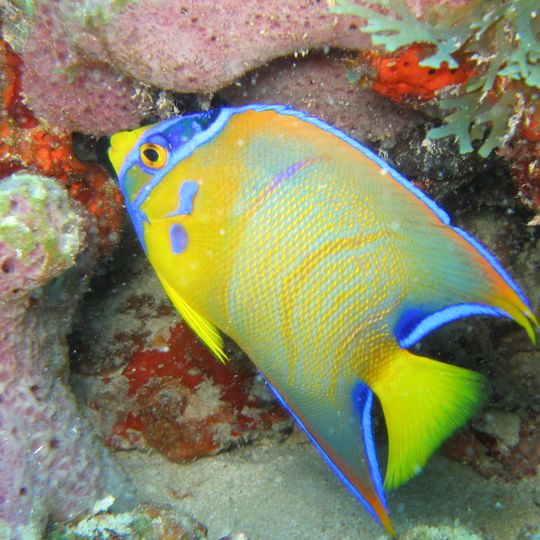 Pedra da Risca do Meio State Marine Park