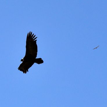 Sites naturels et monuments méconnus d'Argentine