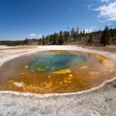 Beauty Pool
