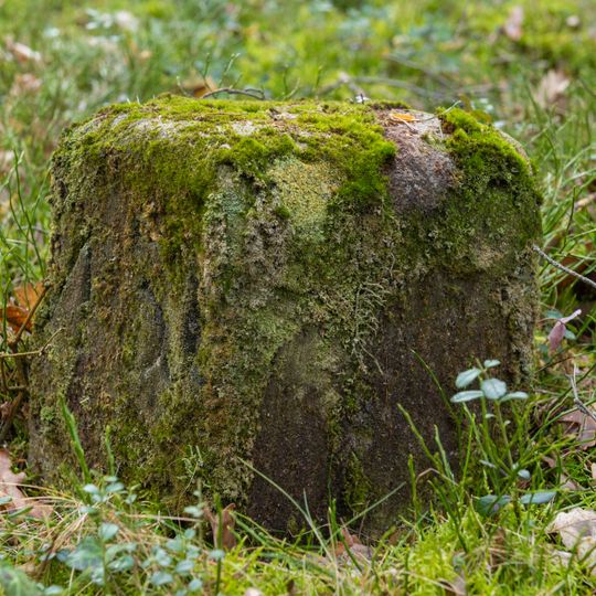 Grenzstein Fürther Stadtwald in Fürth