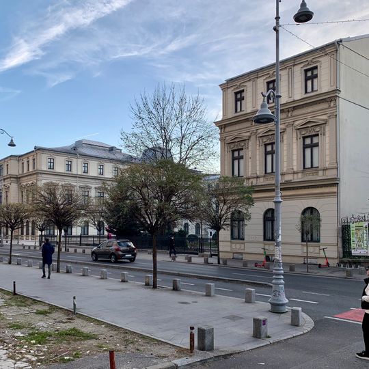 Museum of Art Collections