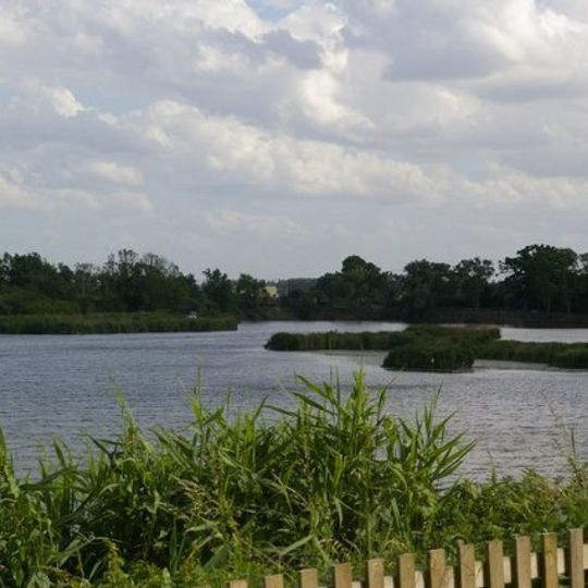 Roswell Pits